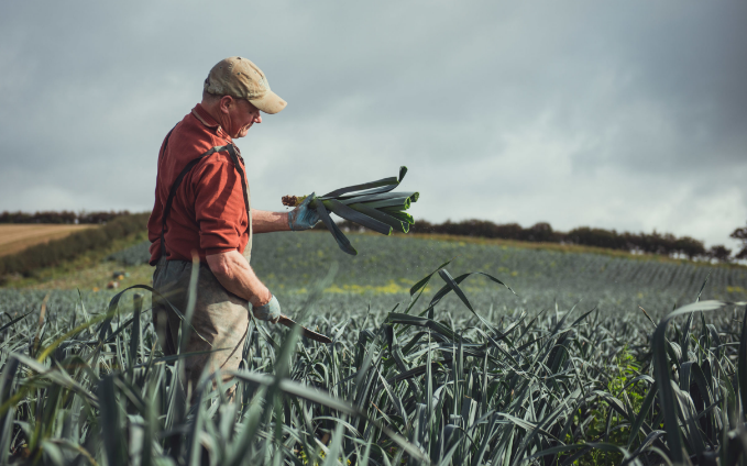 farmer