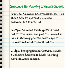 Seaweed course
