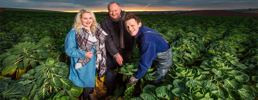 internationalmediasproutfarming