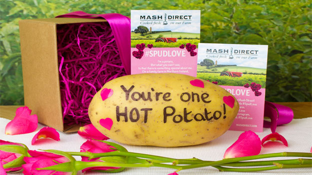 MashDirectSpudLove